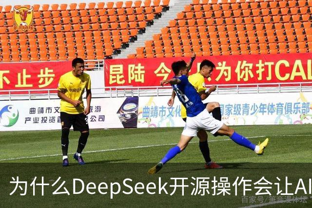 为什么DeepSeek开源操作会让AI大厂集体焦虑？